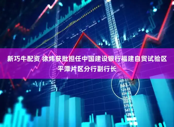 新巧牛配资 徐炜获批担任中国建设银行福建自贸试验区平潭片区分行副行长