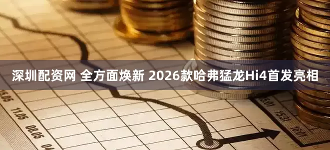 深圳配资网 全方面焕新 2026款哈弗猛龙Hi4首发亮相