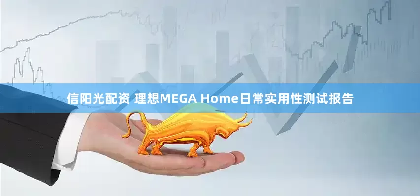 信阳光配资 理想MEGA Home日常实用性测试报告