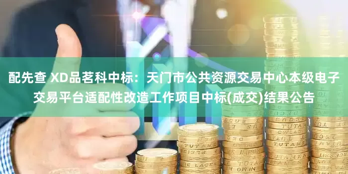 配先查 XD品茗科中标:天门市公共资源交易中心本级电子交易平台适配性改造工作项目中标(成交)结果公告