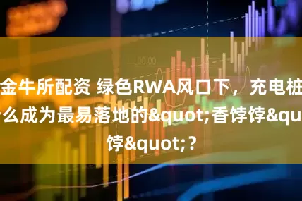 金牛所配资 绿色RWA风口下,充电桩凭什么成为最易落地的"香饽饽"?